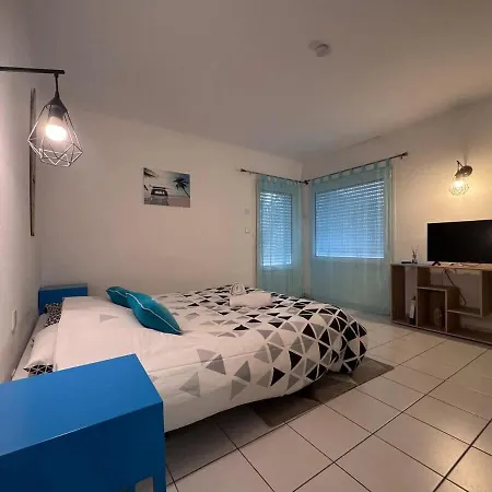 Dauphin - Kiwi Aytré