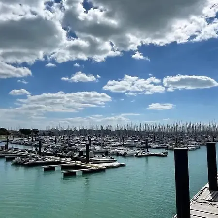 Dauphin - Kiwi Aytré