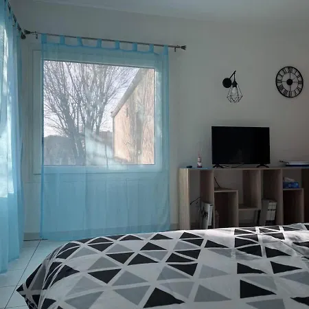 Dauphin - Kiwi * Aytré