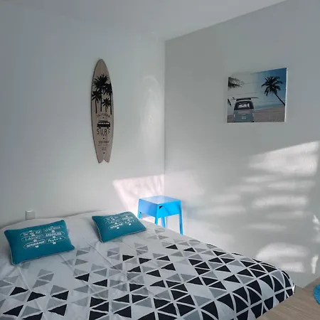 Dauphin - Kiwi * Aytré